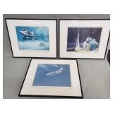Three Douglas aircraft prints