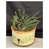 Vintage slow cooker pot with succulent