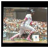 Brandon Belt autographed photo