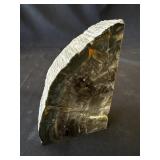 Petrified wood specimen