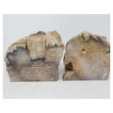 Pair of petrified wood slabs