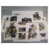 14 vintage John Audubon prints