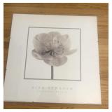 Alan Newnham print "Christmas Rose"