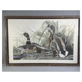 Vintage hand colored etching of mallard ducks from
