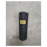 Everlast 100lb punching bag