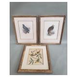 Three vintage lithographs
