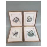 Four vintage book plates