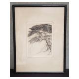 Pencil signed Cornelis Botke 'Monterey Cypress'