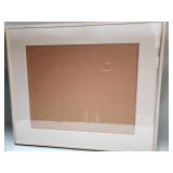 Jerry Solomon frame and matboard behind glass