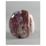 Polished petrified wood paperweight