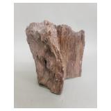 Petrified wood desk ornament
