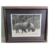 Terry Maddox vintage print "Wintering Buffalo"