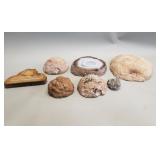 Group of rock specimens