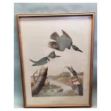 Antique chromo-lithograph of John James Audubon