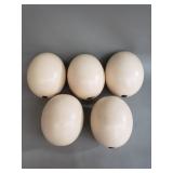 Five ceramic faux ostrich eggs