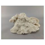 Natural White Coral Specimen