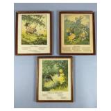 Three Clara M. Burd Nursery Prints