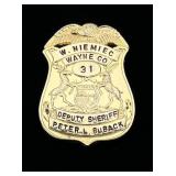 Wayne Co. MI Deputy Sheriff Named Badge 1960s