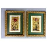 Pair of Framed Botanical Prints in Gilt Frames