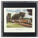 Detroit Zoological Park Railroad Print