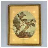 Lynn B. Hunt (AM 1878-1960) Framed Pheasant Print