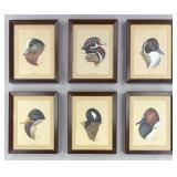 Art LaMay (AM, b. 1938) Set of 6 Waterfowl Prints