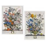 After Robert Furber (EN1674ï¿½1756) Botanical Prints