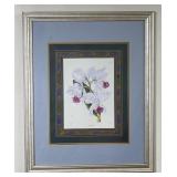 Framed Botanical Print of Orchids