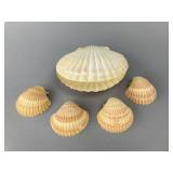 Set of Five Natural Scallop Shells, 3"