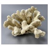 Natural Coral Specimen