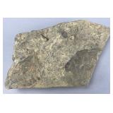Fossil-Bearing Stone Slab