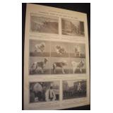 Page of 1908 The Illustrated London News