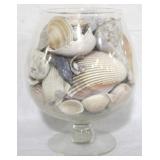 Glass with Assorted Seashells