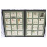 Pair of Framed Prints - 17 x 22