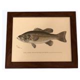 Framed Print - 9 x 12