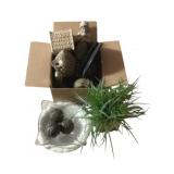Lot of Assorted Items