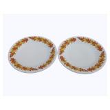 2 Fiesta 9" Leaf Plates