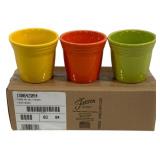 Fiesta Flower Pots in Box