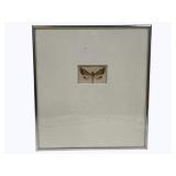 Framed Moth Artwork 11 x 12