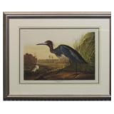 BLUE CRANE GICLEE BY JOHN J AUDUBON