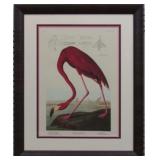 AMERICAN FLAMINGO GICLEE BY JOHN J AUDUBON