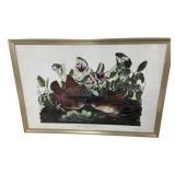 Chelsea House Framed Print 35 x 51