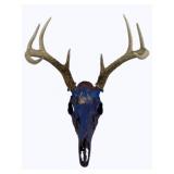 Painted Deer Skull - 18 x 12