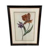 Chelsea House Framed Print 41 x 31