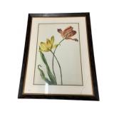 Chelsea House Framed Print 41 x 31