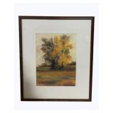 Framed Print 20 x 16