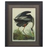 GREAT BLUE HERON GICLEE BY JOHN J AUDUBON