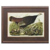 AMERICAN HEN AND YOUNG GICLEE BY JOHN J AUDUBON