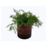 Planter w/ Faux Greenery 12 x 6