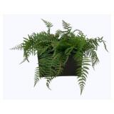 Faux Plant in Planter 9 x 8 x 8